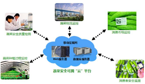 將為公司平臺提供服務(wù)內(nèi)容